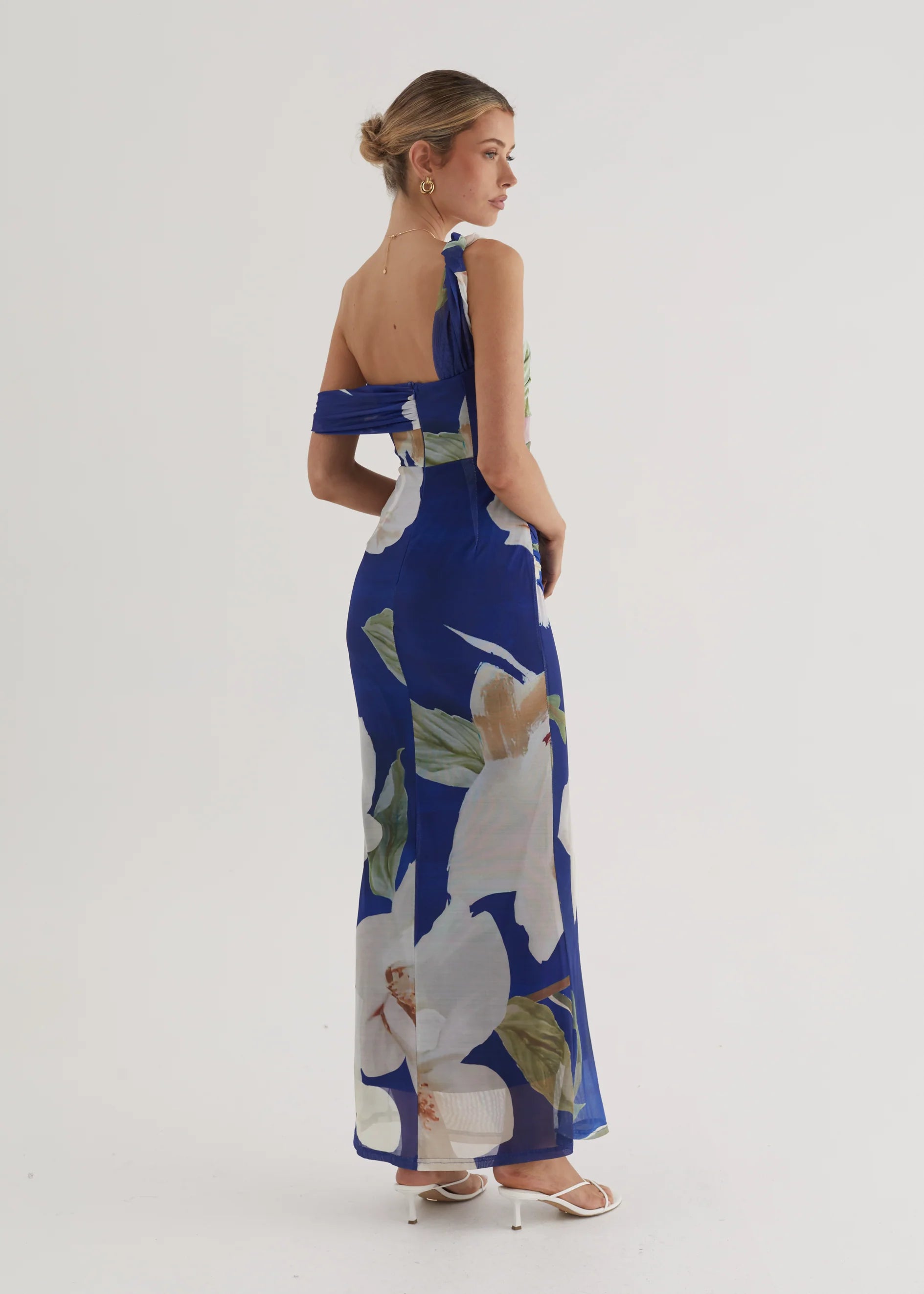 Helena Mesh Maxi Dress - Blue Flowers