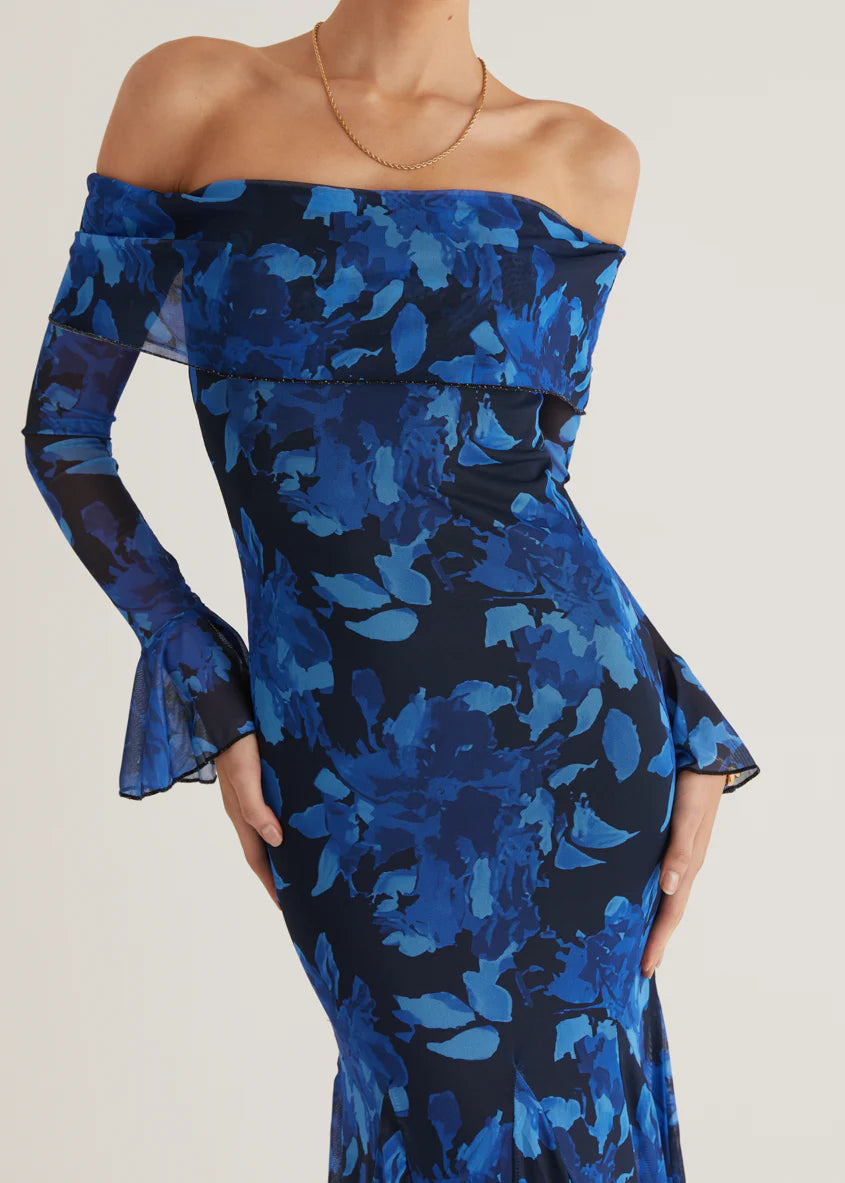 Linier Off Shoulder Mesh  Maxi Dress - Blue Floral