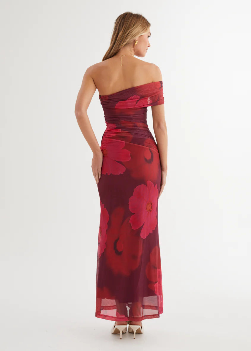 Allina Mesh Maxi Dress - Plum Floral