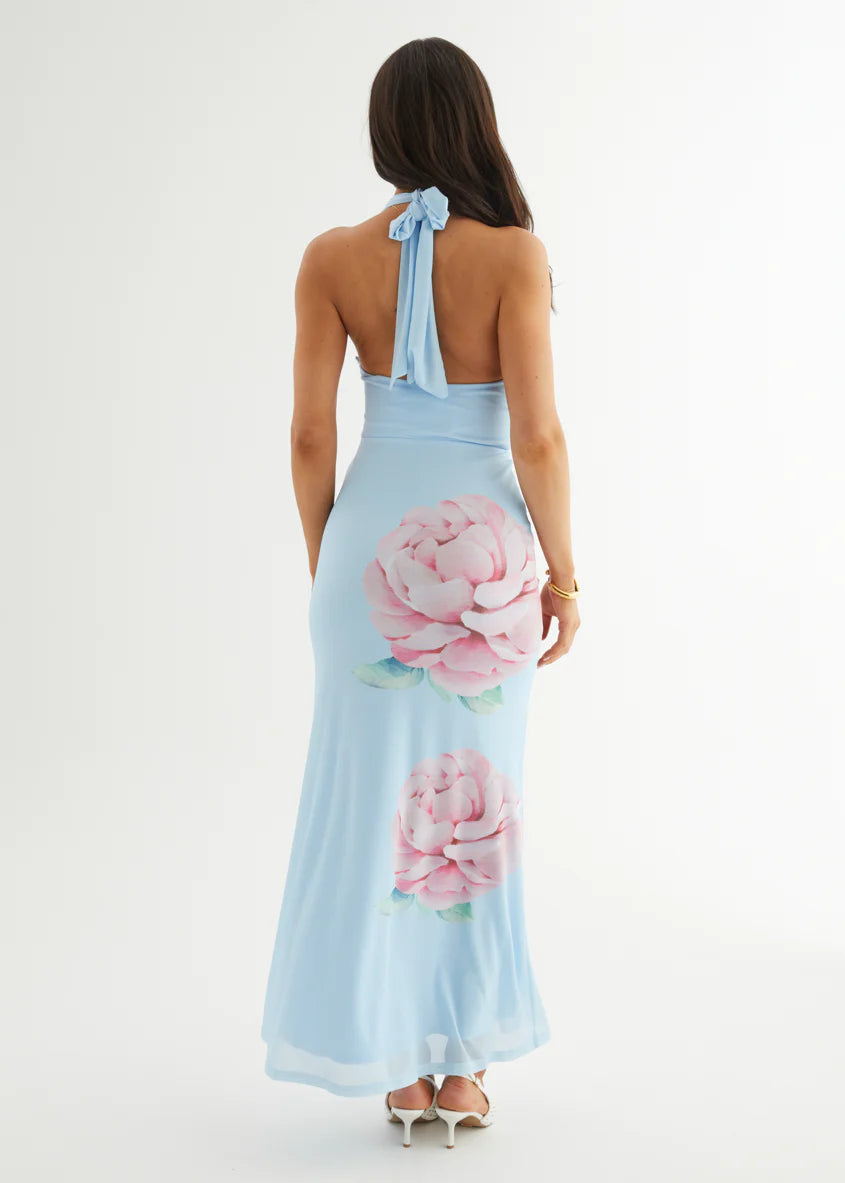 Amarli Mesh Maxi Dress - Blue Flowers