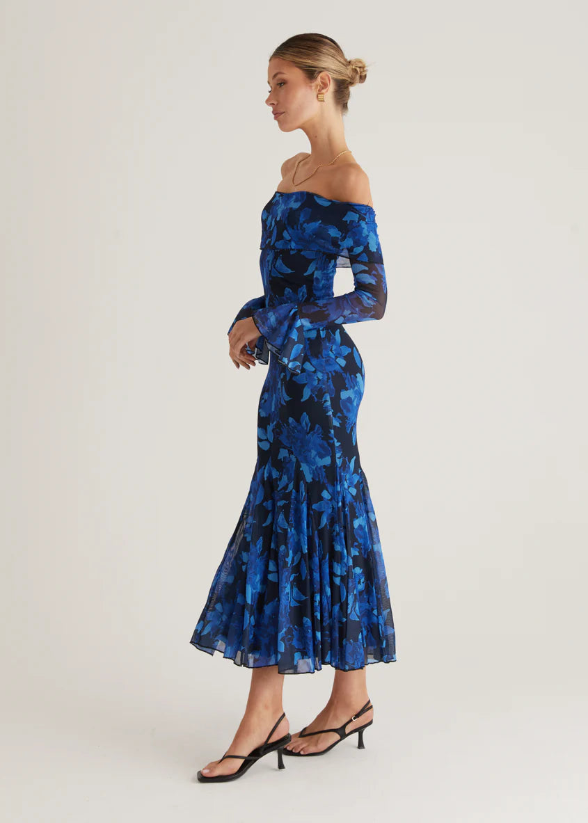 Linier Off Shoulder Mesh  Maxi Dress - Blue Floral