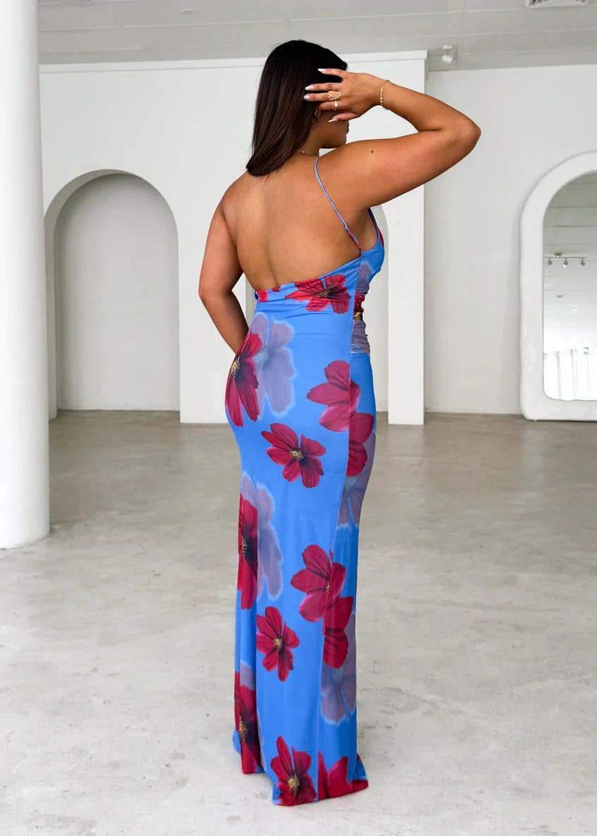 Rivka Mesh Maxi Dress - Blue Floral