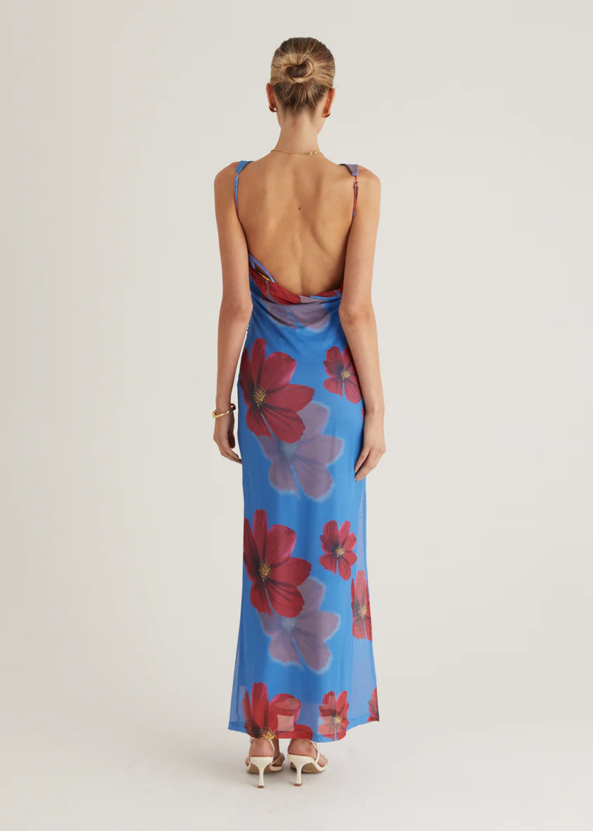 Rivka Mesh Maxi Dress - Blue Floral
