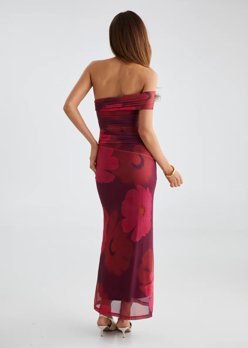 Allina Mesh Maxi Dress - Plum Floral