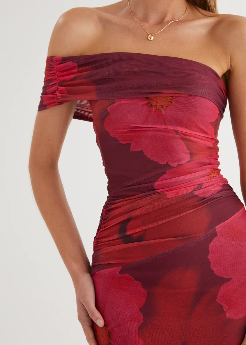 Allina Mesh Maxi Dress - Plum Floral