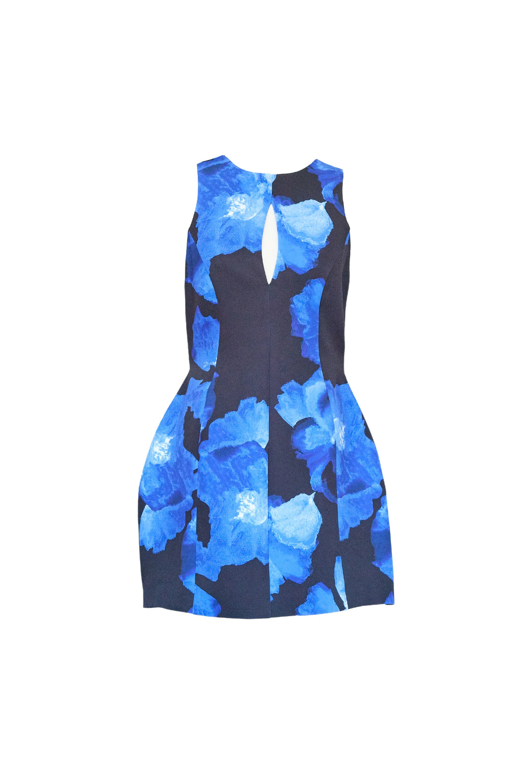 Amy Dress - Blue Floral
