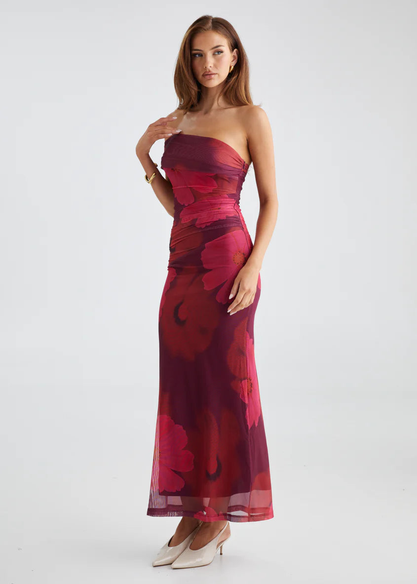 Allina Mesh Maxi Dress - Plum Floral