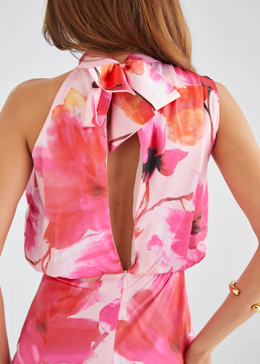 Joiss Maxi Dress - Raspberry Floral