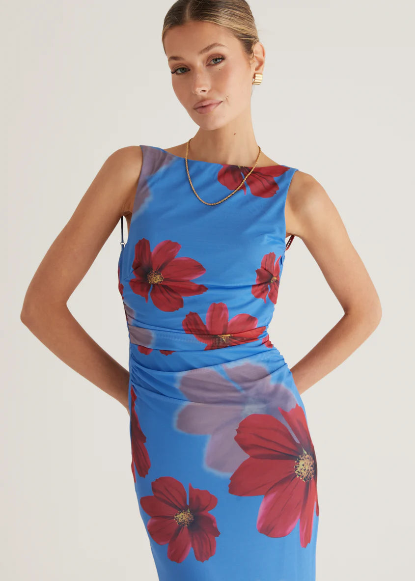 Rivka Mesh Maxi Dress - Blue Floral