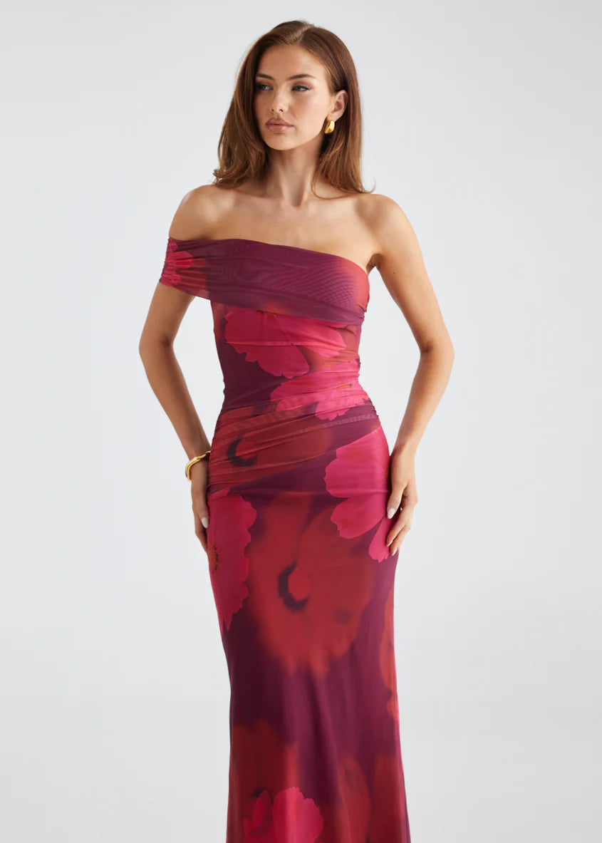 Allina Mesh Maxi Dress - Plum Floral